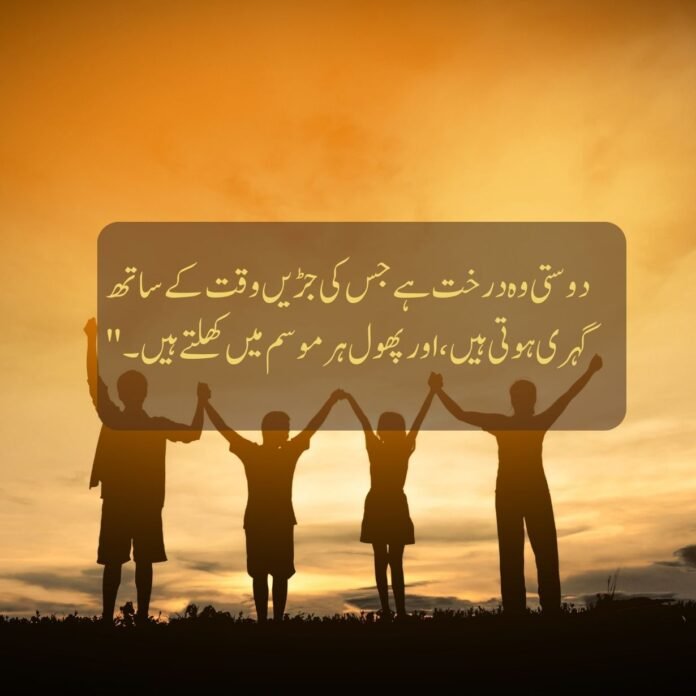 25 friendship quotes