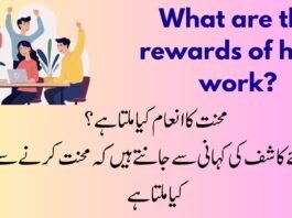 What are the rewards of hard work?