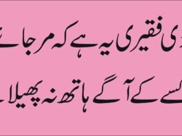 Islamic quotes love