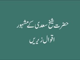 hazrat saikh sadi ka famous quotes
